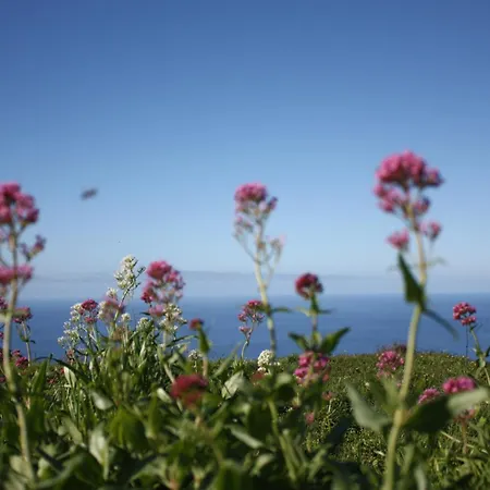 Raposeira Σπίτι διακοπών