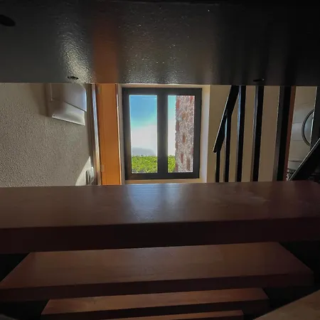 Raposeira Calheta (Madeira)